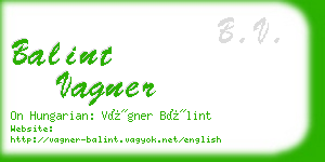 balint vagner business card